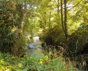 Au bord de "La Sinope"