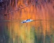 J'aime regarder les filles