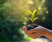 Histoire de presque demain.