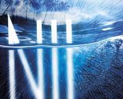 NIL de Lynne Matson