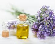 La lavande officinale, votre nouvelle bienfaitrice !