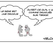 le sexe est une drogue?