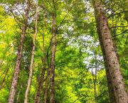 2022-04-16 (jeu de mots #0001)