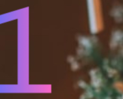 Case 1 : Le cheval à bascule .