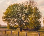 La Terre s’offre un printemps.