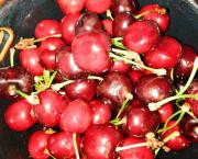 Clafoutis aux fruits