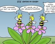 SOS, abeilles en danger !