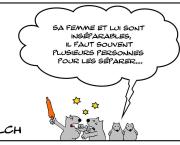 Durement inséparables