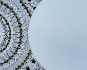 Gardienne de la nuit