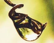 #CondidencesDAutrice : Fais vriller