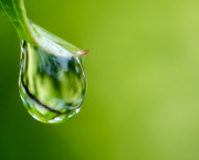 H2O