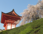 Premier jour à Kyoto