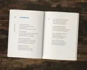 Le premier livre Panodyssey est sorti!