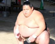 Sumo