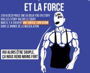 La raideur, la souplesse, et la force