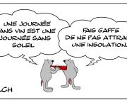 Le rat qui devait se méfier du soleil