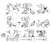 Amours, Pigeons & éducation sexuelle