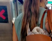 Un pull pour l'hiver