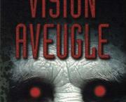 Vision aveugle