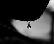 Fragments n°1