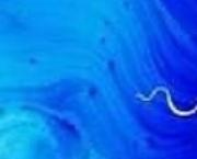 Moua qui mange les mots au p'tit matin,