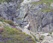 Fragments de réalisme pour moi-même