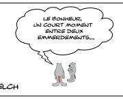 Bonheur et emmerdements