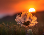 Frissonner... de plaisir !