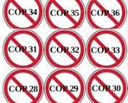 exceptionnel acquis de la COP27, pour des ânes