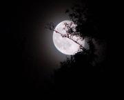 Nuit ne nuit