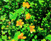 Chapitre 6 : La salle secrète...