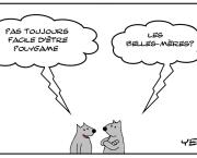 Pas toujours facile d'être un polygame