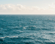 Immensité