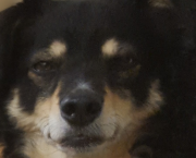 Message de Mini : Amour et vulnérabilité