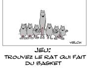 Jeu : trouvez le rat qui fait du basket