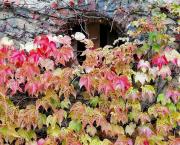 Syndrome de Stockholm (2/2)