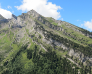 Tuer l'aède