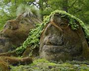 Les trolls des forêts