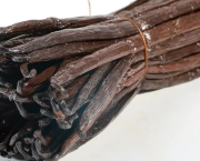 Vanille : les secrets sauvages qui pourraient sauver l'épice la plus précieuse au monde