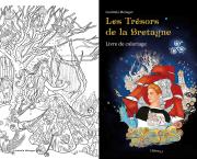 Une sorcière comme Morgane