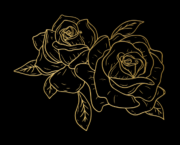 Chaptitre 1 : Nouveau Départ