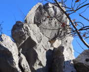 Deux Mondes : La Discrépance Fondamentale entre la Préservation Numérique et l'Économie de l'Attention Éphémère