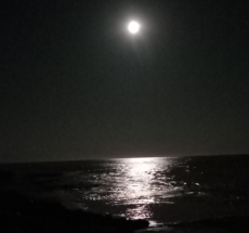 prev