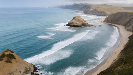 Paradis artificiel d’un visionnaire