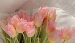 𝘞𝘩𝘢𝘵 𝘸𝘦 𝘩𝘢𝘷𝘦 𝘝𝘚 𝘞𝘩𝘢𝘵 𝘸𝘦 𝘸𝘢𝘯𝘵