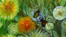 Novità in libreria! LE ANITE - Profumo di Miele e Propoli