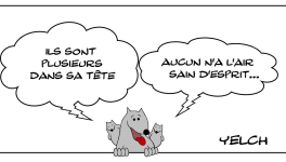 Le rat qui était à plusieurs dans sa tête