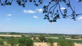 L'homme qui sauva l'humanité