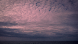 la cinquième langue