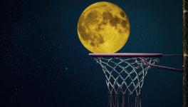 Le basket, un sport de dupes ?